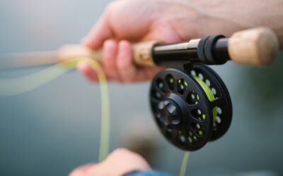 Efter fisketuren: server din fangst i nordiske rammer